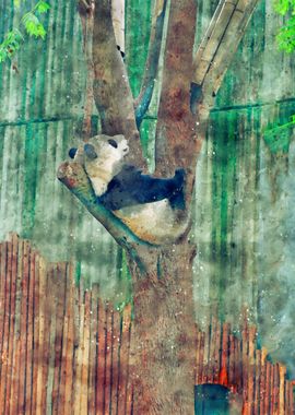 Panda Watercolor