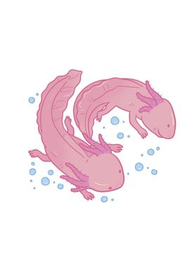 Axolotl