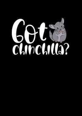 Got Chinchilla