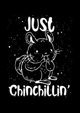 Just chill Chinchilla