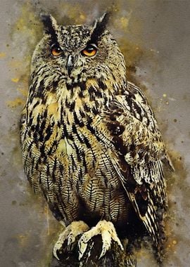 owl watercolor