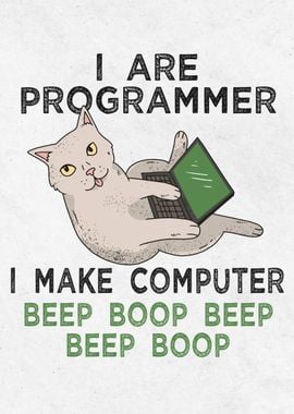 Funny programmer cat 