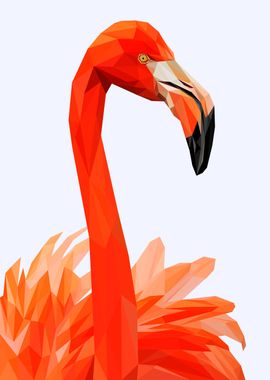 flamingo