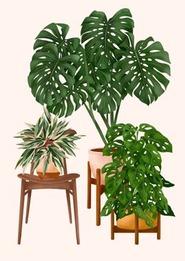 Potted Plant Friends