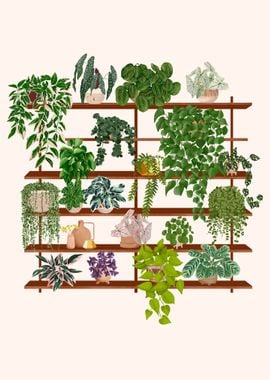 Plant Shelf 6