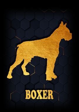 BOXER