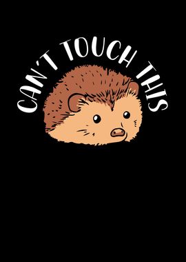 Cant touch the hedgehogs