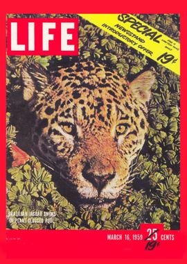 Cover - March 16 1959