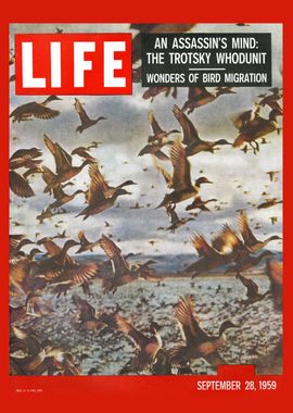 Cover - September 28 1959