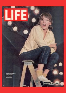 Cover - November 22 1963