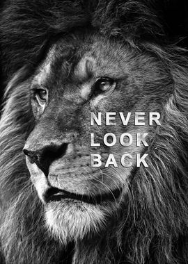 wild lion face Motivation