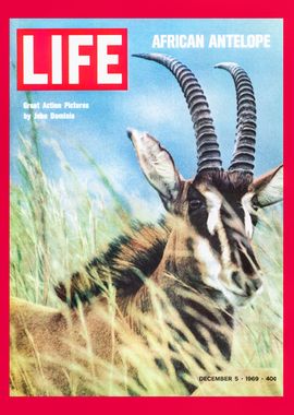 Cover - December 5 1969