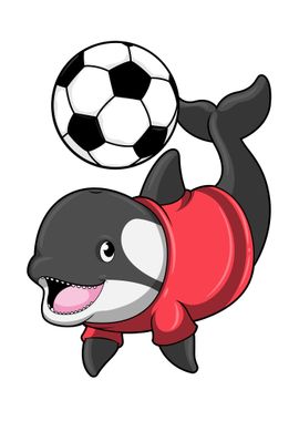 Killerwhale Soccer Sports