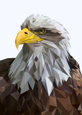 nursery animal eagle