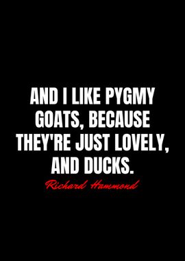 Richard Hammond Quotes