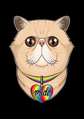 Exotic Shorthair Cat LGBTQ