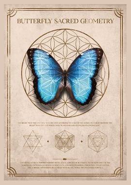 Butterfly on geometric