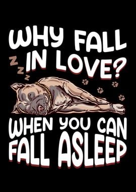 Why Fall In Love Pit bull