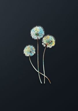 Blue Leek Flower Branch