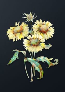 Vintage Blanket Flowers