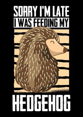 Hedgehog