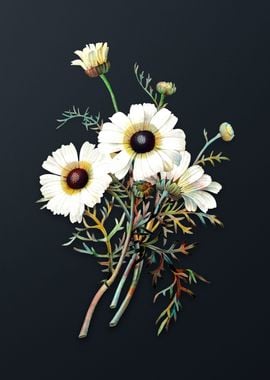 Vintage Chrysanthemum