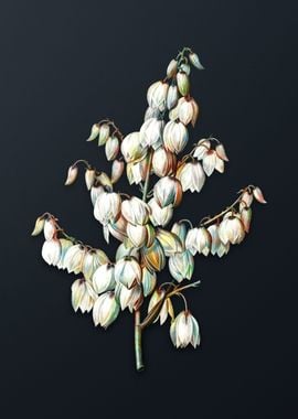 Vintage Aloe Yucca Flower