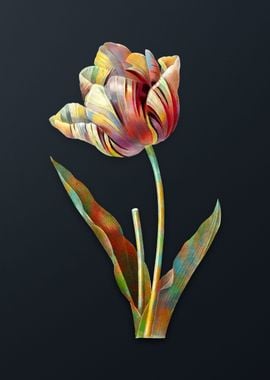 Vintage Tulip Flower