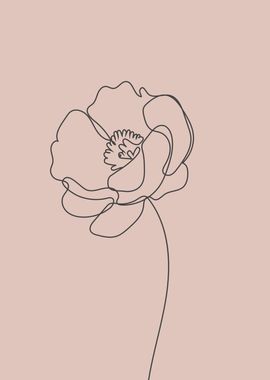 Aesthetic floral lineart