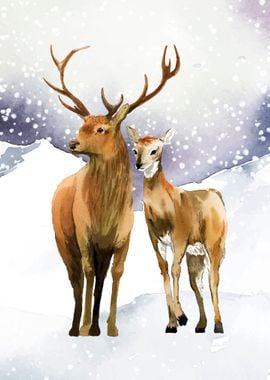 Deer Animals at Snow 