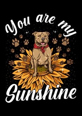 You Are My Sunshine