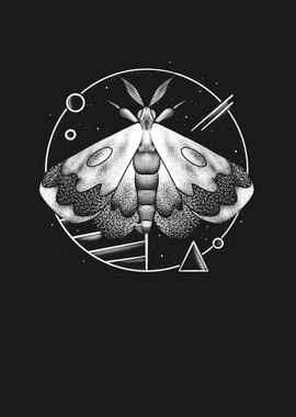 Cosmic Moth Fantasy Insect