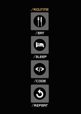 Programmer routine