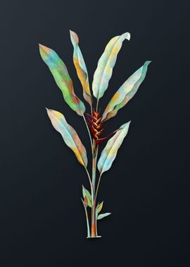 Vintage Parrot Heliconia