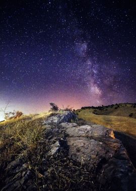 Starry Sky Nature