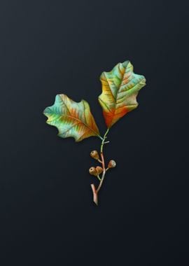 Vintage Bear Oak Leaves