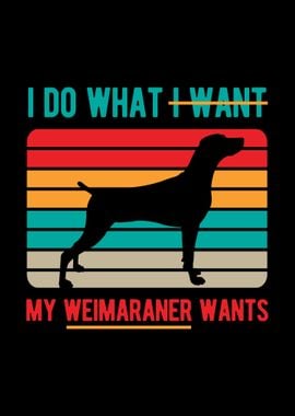 Funny Weimaraner Dog