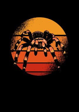 Tarantula vintage sun