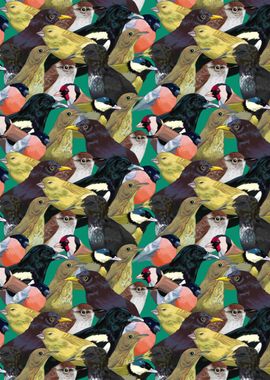 Birds Pattern