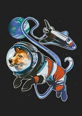 Space corgi dog