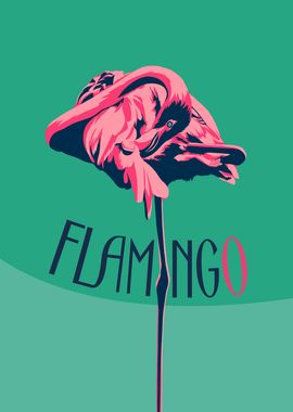 Flamingo