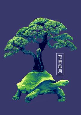 Tortoise and tree