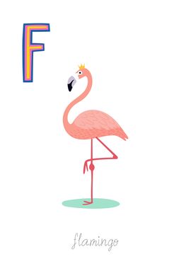 Animal Alphabet F Flamingo