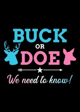 Gender reveal buck or doe 