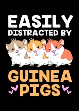 Guinea Pig Funny