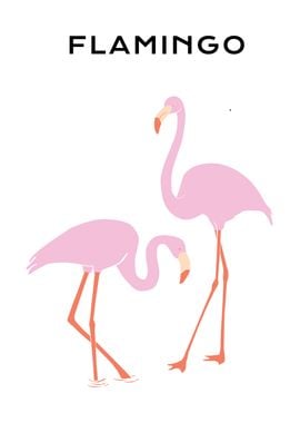 Pink color Flamingo bird