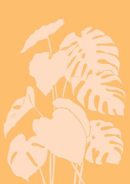 Monstera tropical leaves