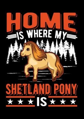 Shetty Shetland Pony