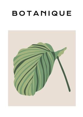 Abstract botanical leaf