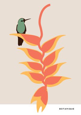 Cute Bird and tropicalleaf